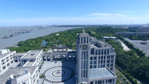 滬上力量再集結，數(shù)字創(chuàng)意賦新能——上海市紅色文化傳播志愿服務聯(lián)盟在寶山成立